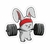 Conejo Fit