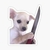 Perrito violento