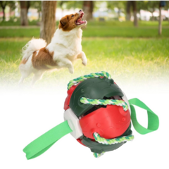 PELOTA FRESBEE PERROS en internet