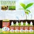 Fast envasamento enraizamento planta, Solução Nutriente, Ferramenta de Jardim Suplemento, Líquido Nutriente Vegetal, Promover brotando flor rápida, 10-1pcs na internet