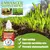 Fast envasamento enraizamento planta, Solução Nutriente, Ferramenta de Jardim Suplemento, Líquido Nutriente Vegetal, Promover brotando flor rápida, 10-1pcs - AGRIMAC