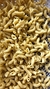 CAMPANELLE en internet