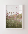 Parque em Budapeste - Quadro Decorativo