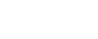 Reinless
