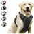 Coleira peitoral para Cães - comprar online