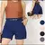 Short Zara Alfaiataria Social - Panther