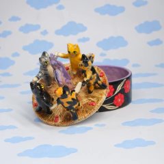 Caja 5 Gatos Paganos en internet