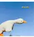 90-190cm adorável grande ganso branco lance travesseiro brinquedo de pelúcia g na internet