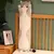Gato de Pelúcia Longo 50/70/90/110/130cm – Engraçado, Fofo e Macio | Travesseiro de Abraço, Decoração e Presente Infantil - arthur costa da silva rodrigues