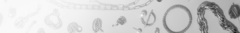 Banner da categoria Colares