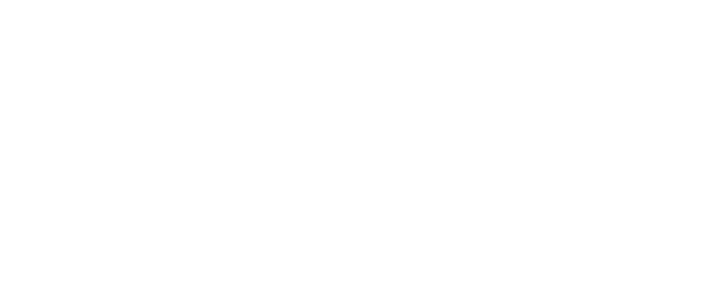 AVERZZY