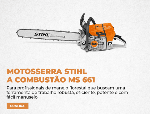 Carrossel 1