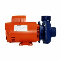 Bomba para agua de 2 HP Siemens - comprar en línea