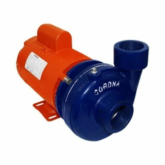Bomba para agua de 2 HP Siemens en internet