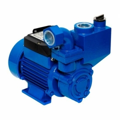 Bomba autocebante de 1/2 HP AT60 Igoto - comprar en línea
