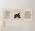 Imagem do Posters Matisse - Linhas & Traços