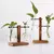 EcoVibe – Vaso Hidropônico Decorativo - loja online