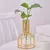 Vaso HidroMetal - Ayrá Decor