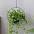 Vaso Suspenso/Pendente - Minimalista - comprar online