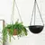 Vaso Suspenso/Pendente - Minimalista na internet