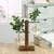EcoVibe – Vaso Hidropônico Decorativo - comprar online