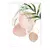 Posters Boho Chic - Nude & Folhagens - comprar online