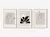 Posters Matisse - Linhas & Traços - comprar online