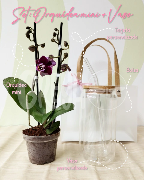 Set Orquídea Mini