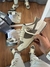 TÊNIS NIKE DUNK