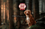 Alimento Para Perro Carne Fresca Puppy Care 4 Kg Cachorros - Vital Pet