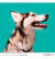 Premios Nupec Dental Care Treats 180g, Cuidado Dental Perros - comprar en línea