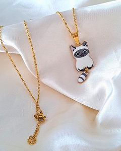 Collar de gato