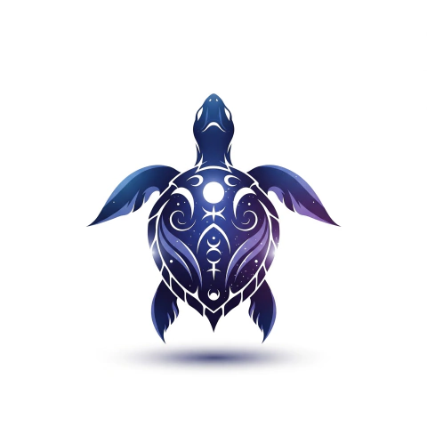 Bazar Tortuga Mágica