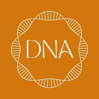 DNA CALÇADOS E ACESSÓRIOS