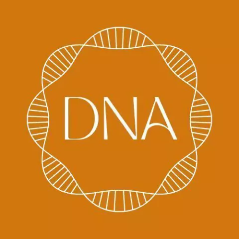 DNA CALÇADOS E ACESSÓRIOS