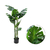 Planta Artificial Filodendro Verde. Con Maceta. 1.19 Mt - Normita Room
