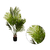 Planta Artificial Areca Grande 13 Hojas. Con Maceta. 1.40 Mt - Normita Room