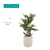 Planta Artificial Bambu. Con Maceta. 1.80 Mt en internet