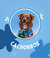 Tudo para seu cão