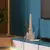 Chicago Water Tower - Iconium