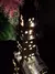 Imagen de Woolworth - Iluminado