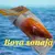Linea Plop Boya tergopol Pesca Dorado/tararira Leader 60lb - comprar online