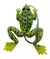 Señuelo Rana S 02 Waterdog Flotacion 12cm 12gr - techeberz de todo pesca