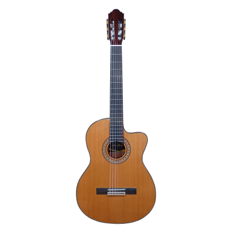 Guitarra electrocriolla H-800 CEQ - comprar online