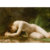 God is a woman X - comprar en línea