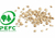 Cat´s Best Arena Biodegradable - Canísimo