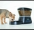 Comedero Dispensador De Alimento Automático Para Mascotas - comprar en línea