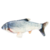 MICHI TUNA™