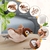 MichiBird™ en internet