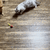 MICHI BALL™ en internet